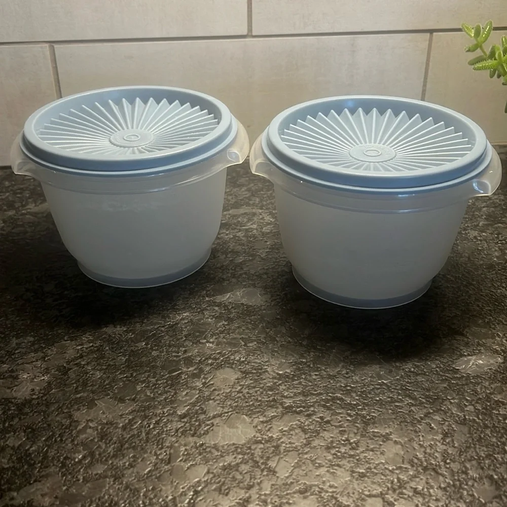 Set of 2- 2 cup blue lid Servalier bowls by Tupperware. Vintage. Great shape